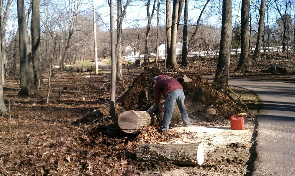 Affordable residential landscaping in Glen Gardner, NJ - Homestead Lawn & Landscaping