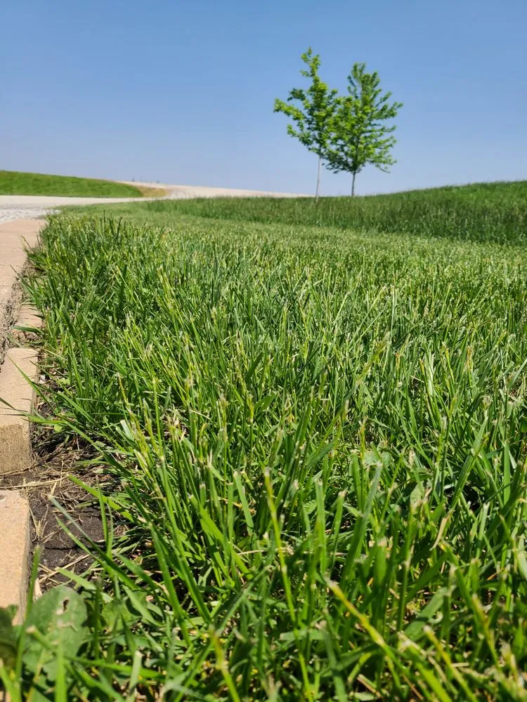 Affordable lawn mowing service for beautiful yards across Roca, NE - Homestead Lawn and Snow