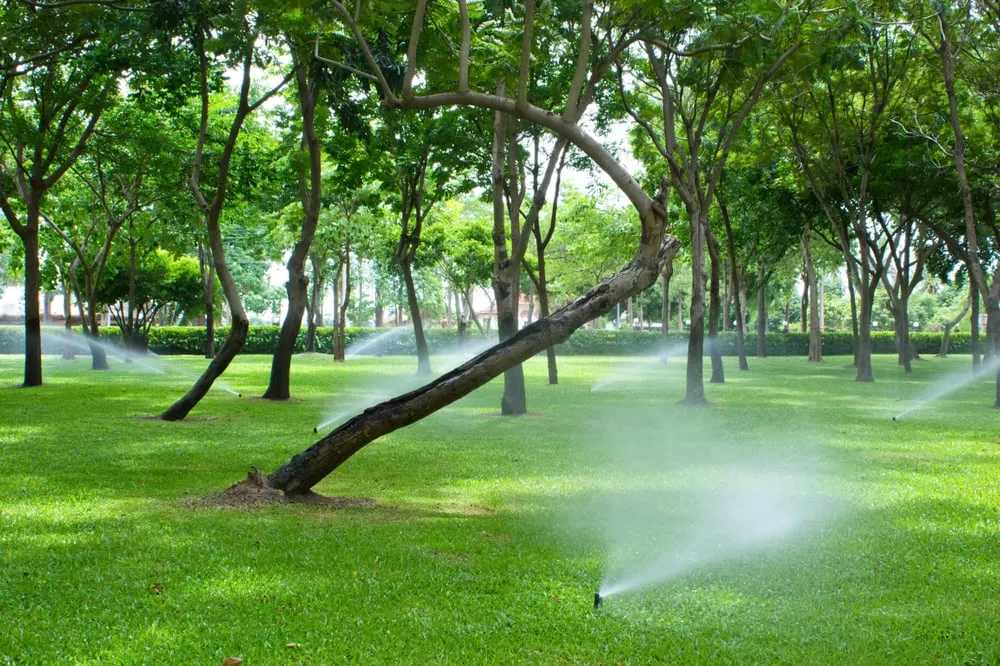Trusted yard maintenance for homes in Oak Ridge, NJ by Homestead Lawn Sprinklers
