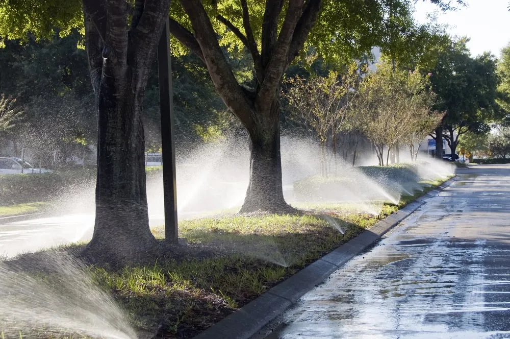 Affordable yard maintenance in Oak Ridge, NJ by Homestead Lawn Sprinklers