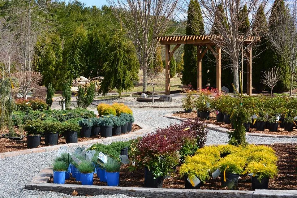 Top-rated landscape design experts serving Egg Harbor City, NJ - Homestead Nursery At Galloway