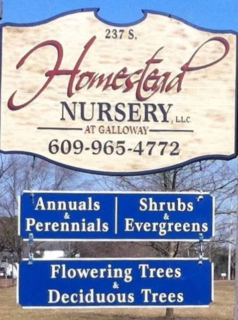 Custom landscape design in Egg Harbor City, NJ - Homestead Nursery At Galloway
