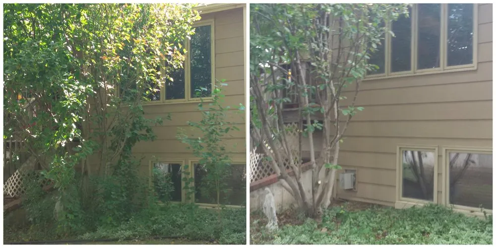 Top-rated lawn care service near you across Burrton, KS - Homestead Services