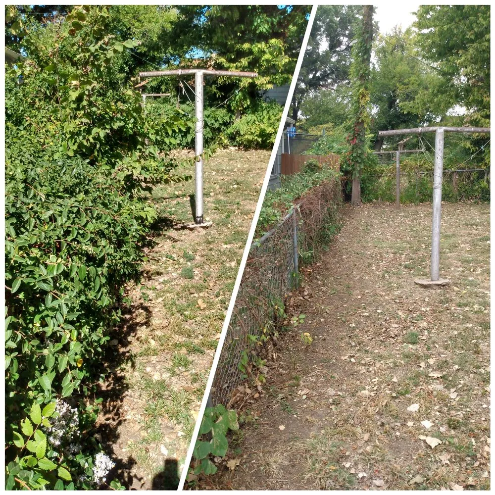 Top-rated yard maintenance in Burrton, KS by Homestead Services