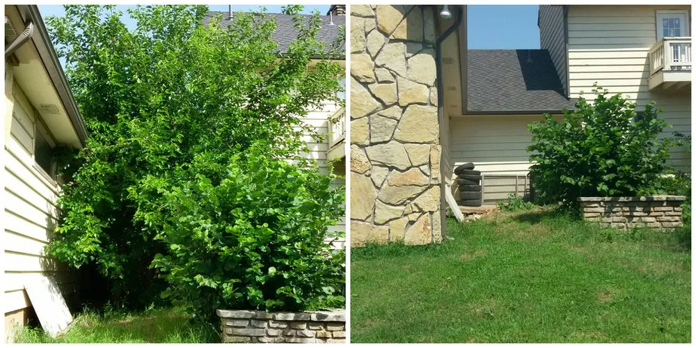 Expert lawn care service in Burrton, KS - Homestead Services