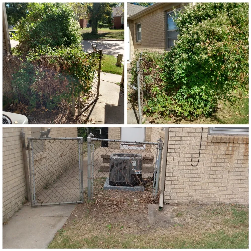 Custom lawn care service experts serving Burrton, KS - Homestead Services