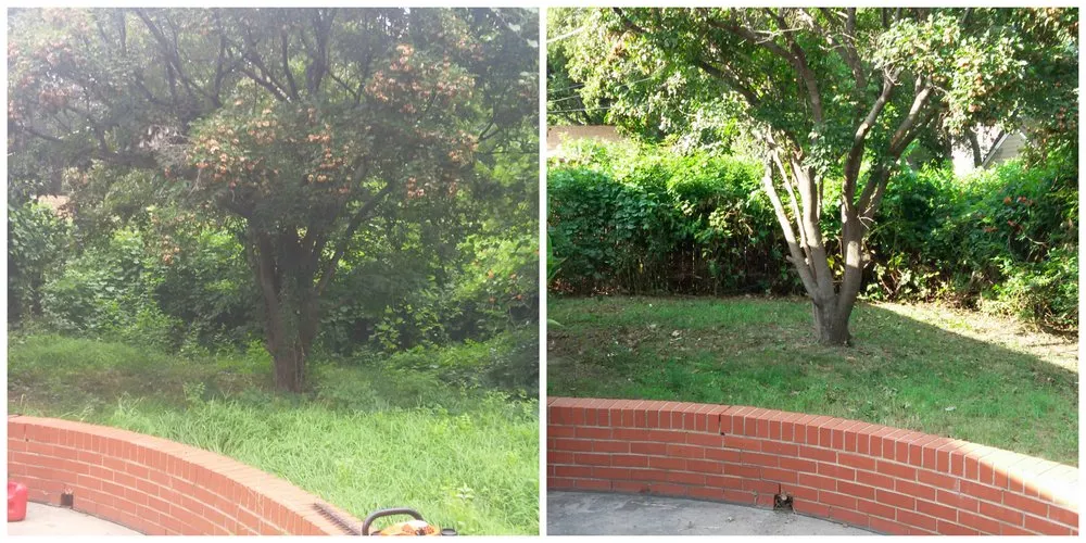 Affordable outdoor landscaping experts serving Burrton, KS - Homestead Services