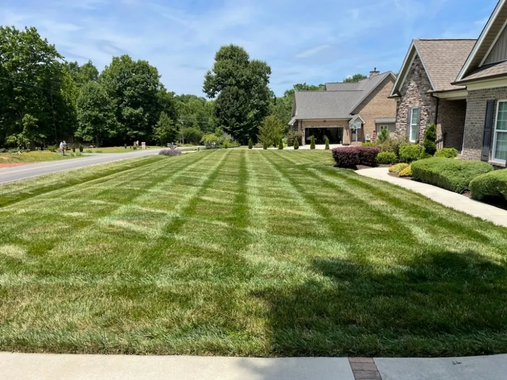 Professional landscaping services in Chesterfield, VA by Homestyle Pros