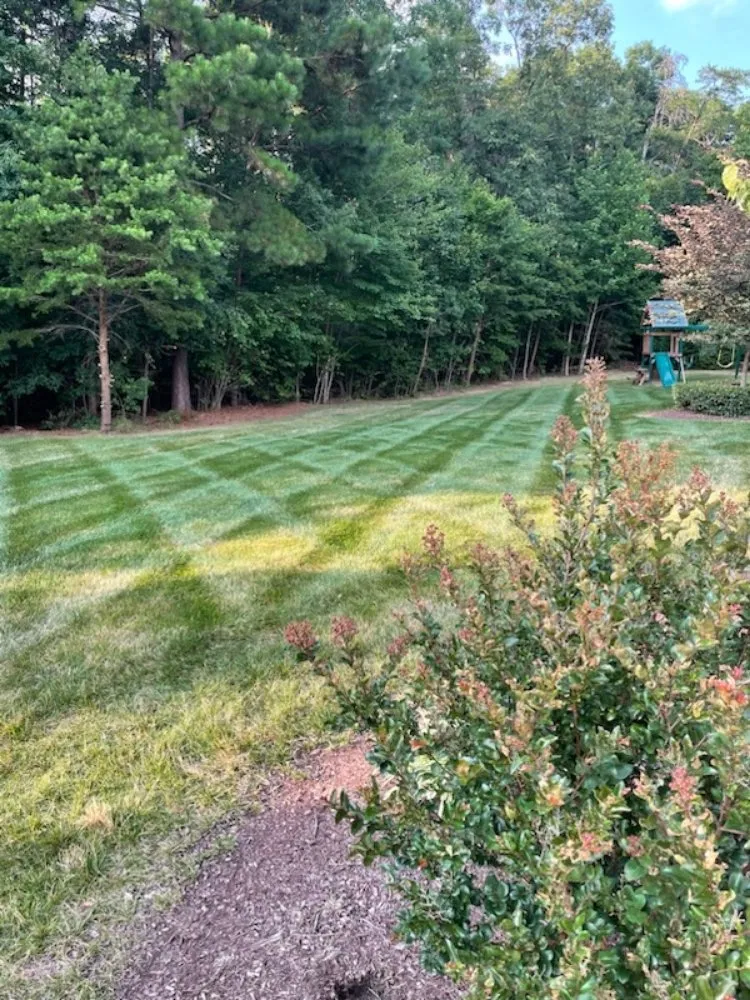 Expert residential landscaping for beautiful yards across Chesterfield, VA - Homestyle Pros