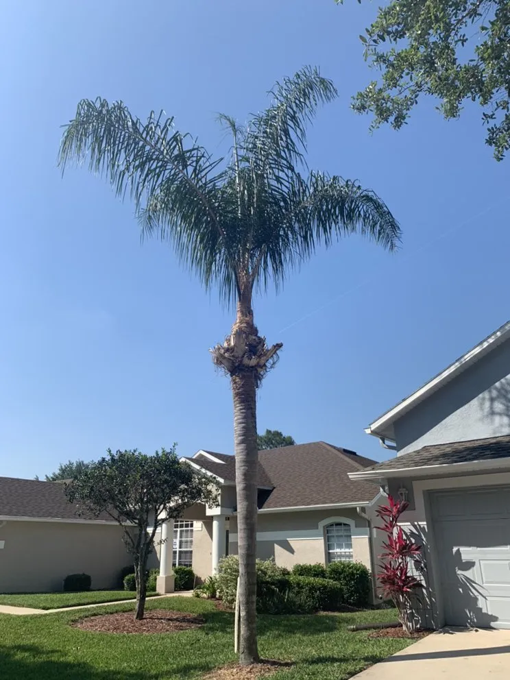 Top-rated lawn care service for year-round maintenance across Wesley Chapel, FL - HomeTeam Lawn & Landscape