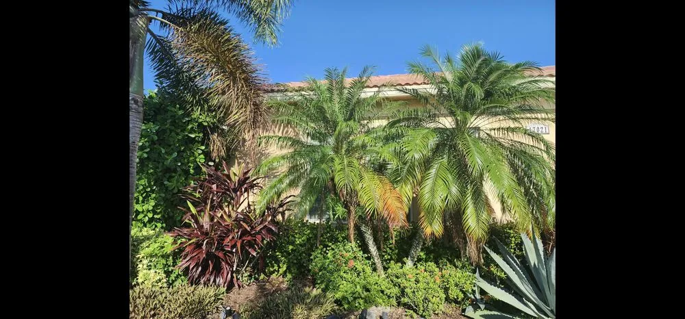 Trusted garden landscaping experts serving Port St. Lucie, FL - Hometown Brothers Landscaping and More