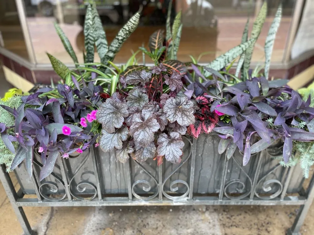 Affordable yard maintenance for residential properties across Nacogdoches, TX - Hometown Designs Landscaping