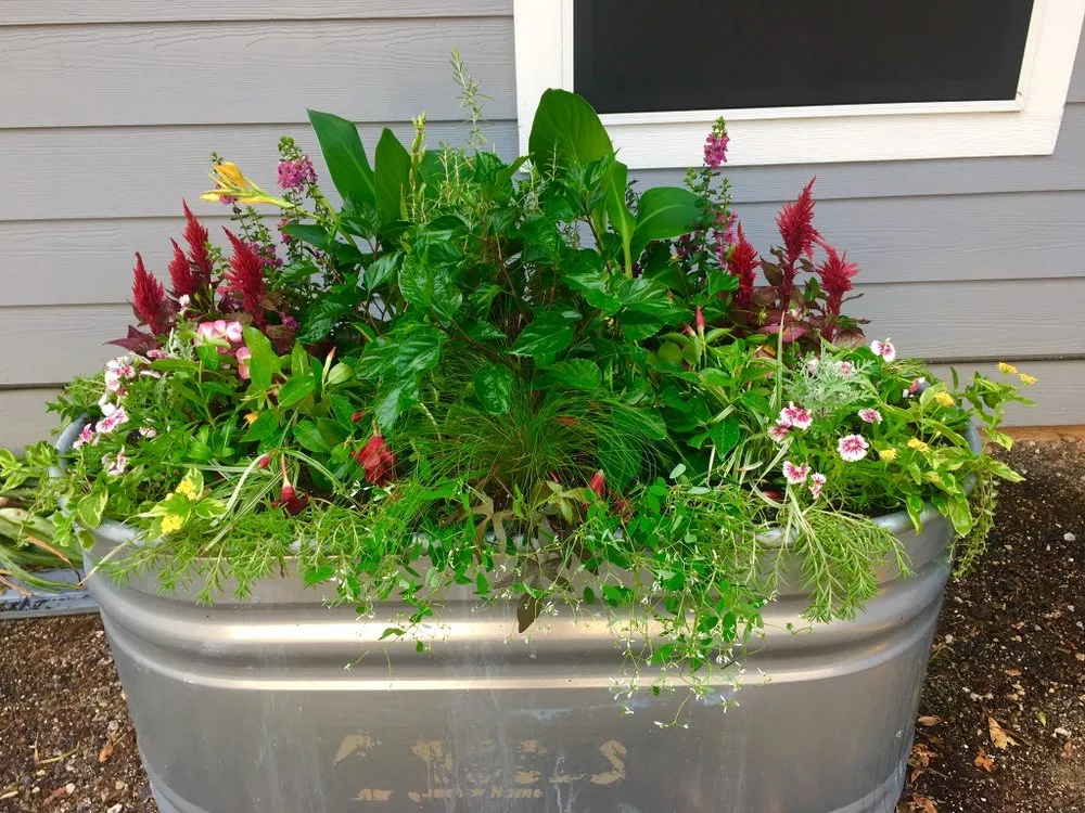 Professional landscape installation for residential properties across Nacogdoches, TX - Hometown Designs Landscaping