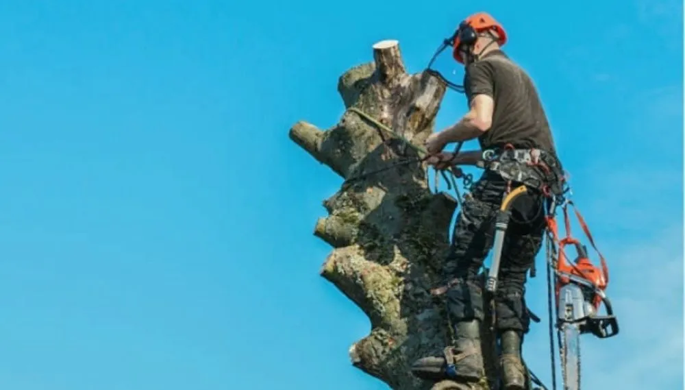 Professional residential landscaping experts serving Cottonwood, AZ - Hometown Handyman