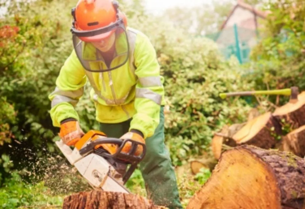 Custom yard cleanup service for residential properties across Cottonwood, AZ - Hometown Handyman