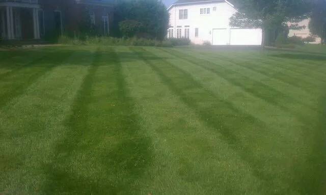 Affordable yard cleanup service in Silver Spring, MD by Hometown Landscape