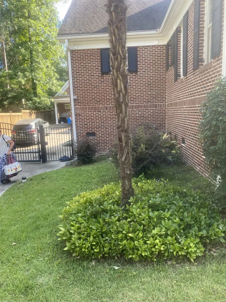 Reliable yard maintenance in Columbia, SC by Hometown Landscapes