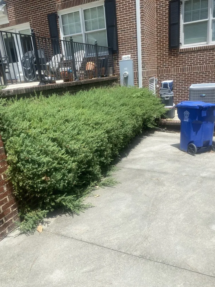 Local yard maintenance experts serving Columbia, SC - Hometown Landscapes