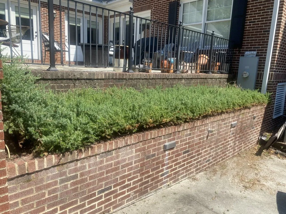 Reliable residential landscaping for outdoor upgrades in Columbia, SC by Hometown Landscapes