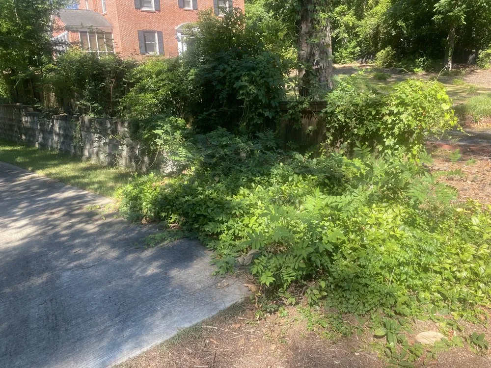 Expert residential landscaping in Columbia, SC - Hometown Landscapes