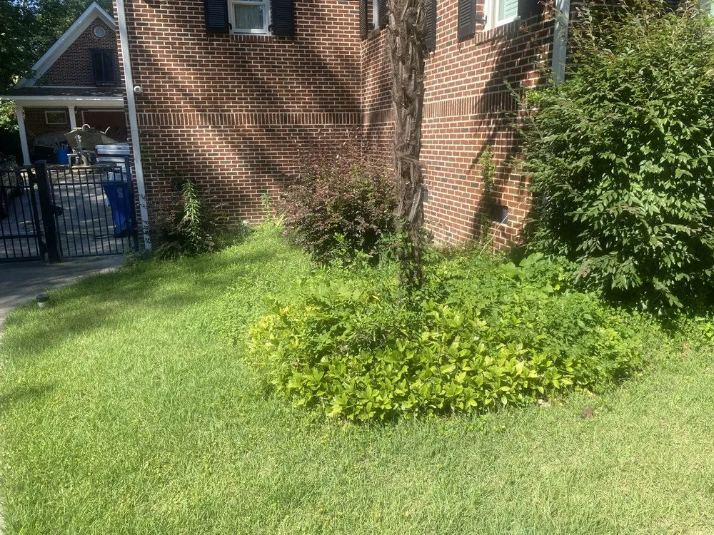 Expert landscape installation for homes across Columbia, SC - Hometown Landscapes