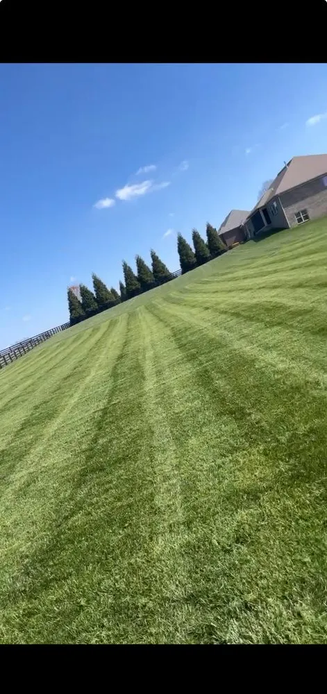 Reliable yard cleanup service experts serving Lexington-Fayette, KY - Hometown landscaping