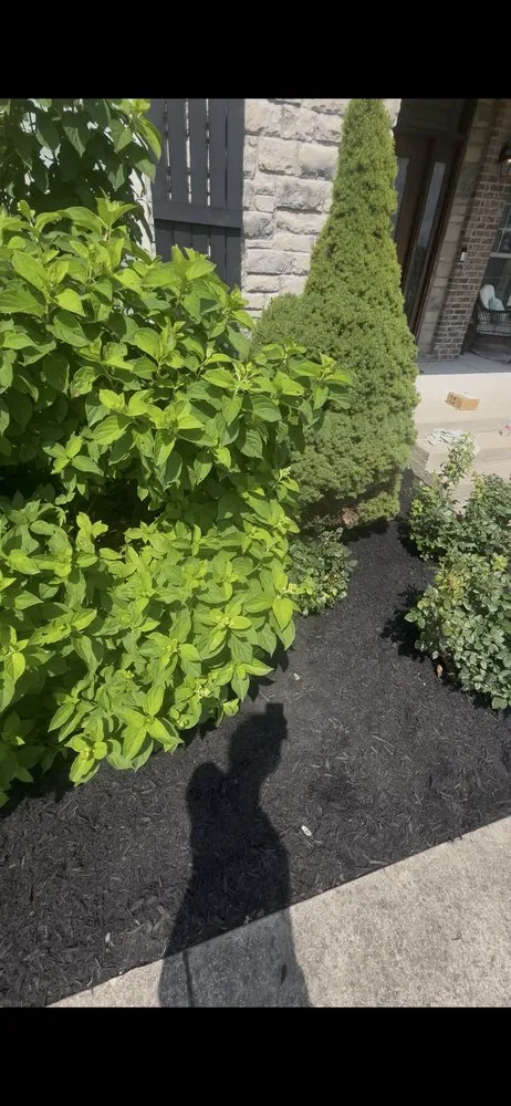 Expert yard cleanup service for beautiful yards in Lexington-Fayette, KY by Hometown landscaping