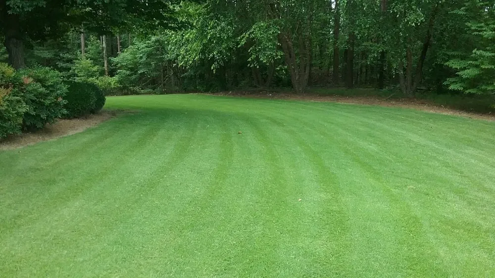 Professional lawn mowing service experts serving Aragon, GA - Hometown Lawn & Pest
