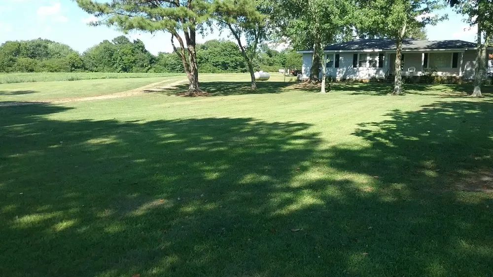 Expert yard cleanup service with custom design in Aragon, GA by Hometown Lawn & Pest