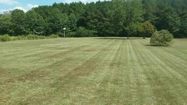 Trusted landscaping services in Aragon, GA - Hometown Lawn & Pest