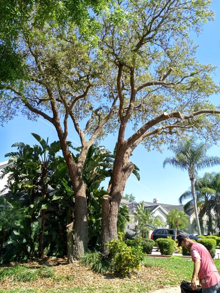 Custom lawn care service with custom design across Plant City, FL - Hometown Lawn & Tree