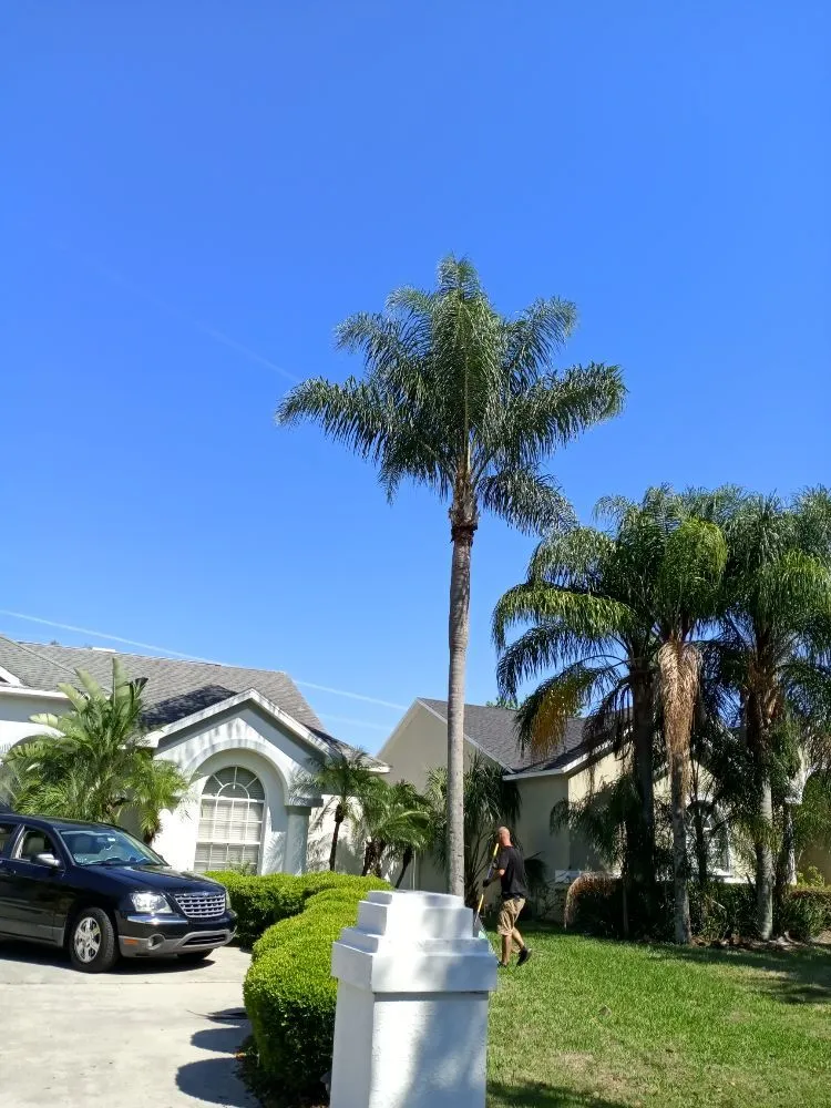 Custom lawn mowing service for residential properties in Plant City, FL by Hometown Lawn & Tree