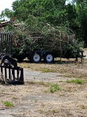 Hometown Lawn & Tree Logo