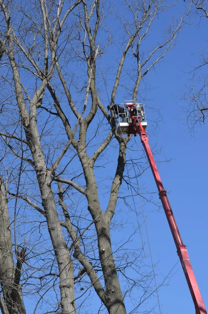 Trusted residential landscaping with custom design in Montville, OH by Hometown Lawn & Tree Service
