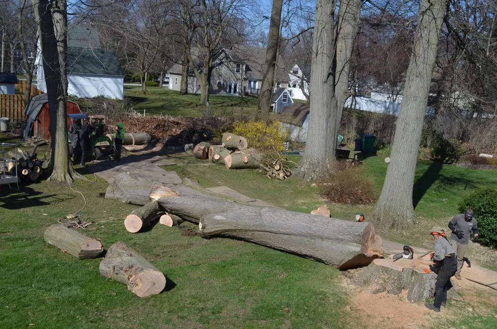 Professional landscape installation in Montville, OH - Hometown Lawn & Tree Service