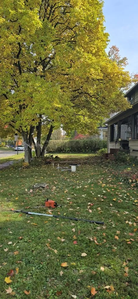 Expert yard maintenance in Plain City, OH by Hometown Lawn and Plant Healthcare