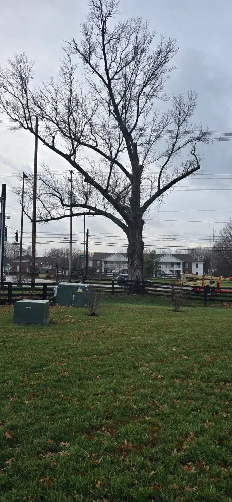 Local landscape installation for outdoor upgrades across Plain City, OH - Hometown Lawn and Plant Healthcare