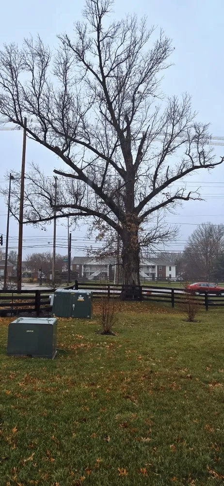 Professional landscape installation in Plain City, OH - Hometown Lawn and Plant Healthcare