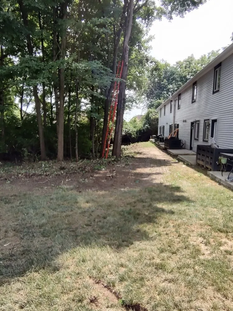 Reliable outdoor landscaping for beautiful yards in Plain City, OH by Hometown Lawn and Plant Healthcare