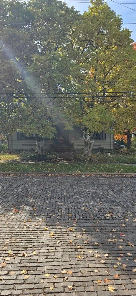 Top-rated residential landscaping in Plain City, OH - Hometown Lawn and Plant Healthcare