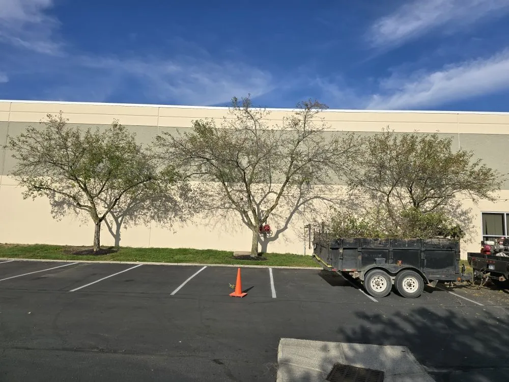 Local lawn mowing service with custom design across Plain City, OH - Hometown Lawn and Plant Healthcare