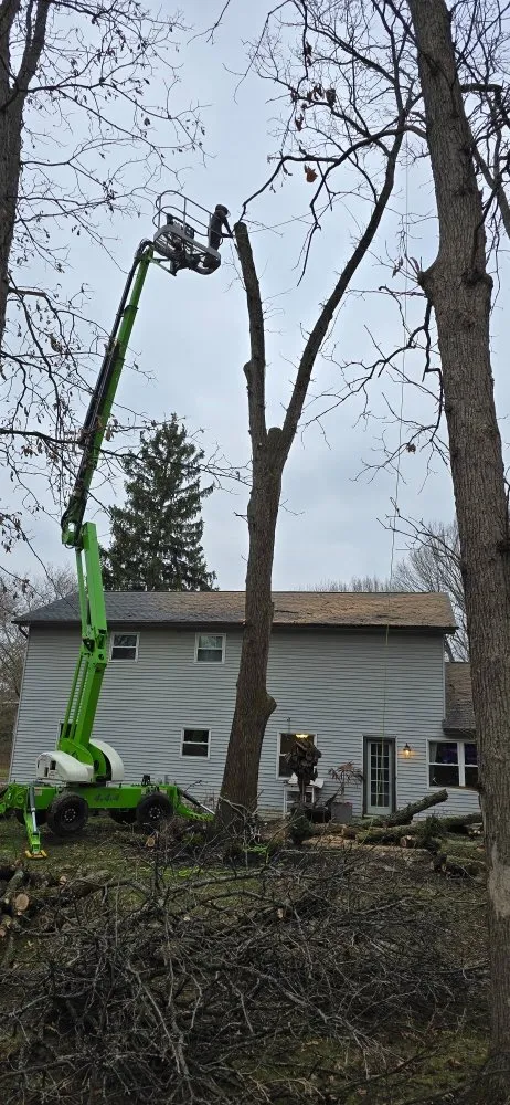 Reliable landscaping services experts serving Plain City, OH - Hometown Lawn and Plant Healthcare