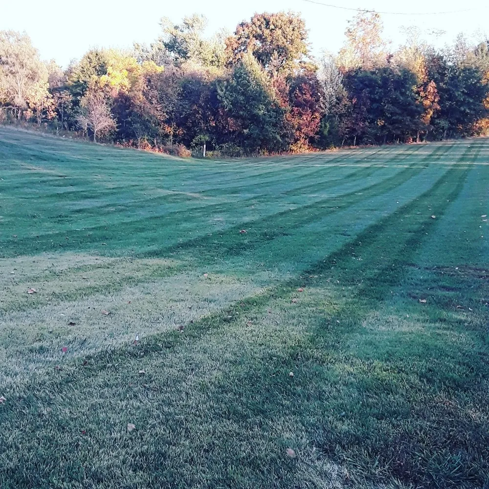 Affordable landscaping services in Hannibal, MO by Hometown Lawn Care