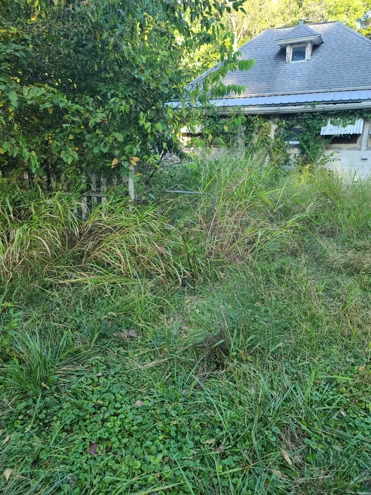 Reliable residential landscaping for outdoor upgrades across Hannibal, MO - Hometown Lawn Care