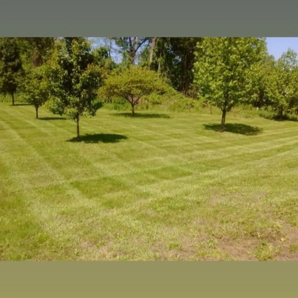 Reliable lawn mowing service near you across Hannibal, MO - Hometown Lawn Care