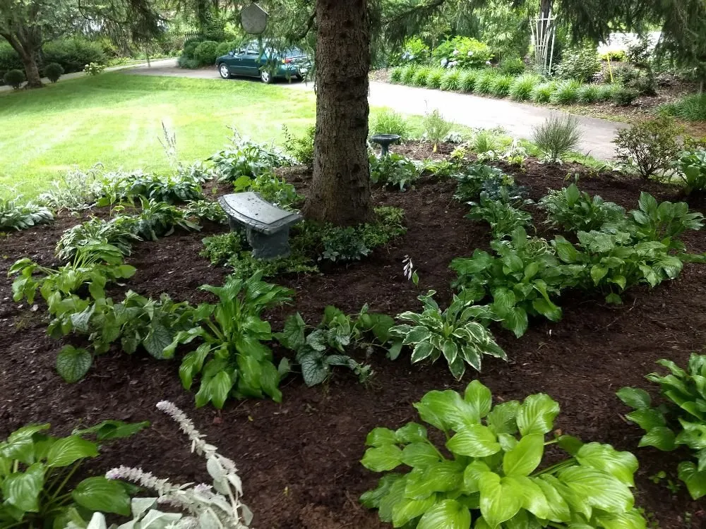 Custom residential landscaping experts serving Roanoke, VA - Hometown Lawn Care