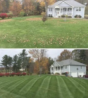 Hometown Lawncare Logo