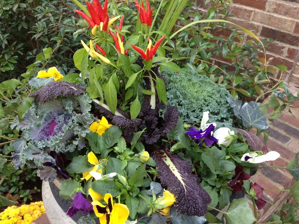 Trusted outdoor landscaping in Jonesboro, AR by Hometown Lawns