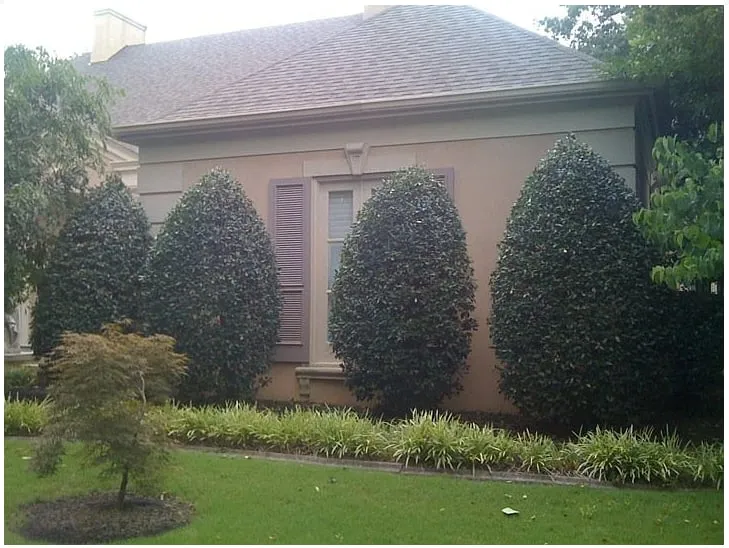 Custom landscaping services with custom design in Jonesboro, AR by Hometown Lawns