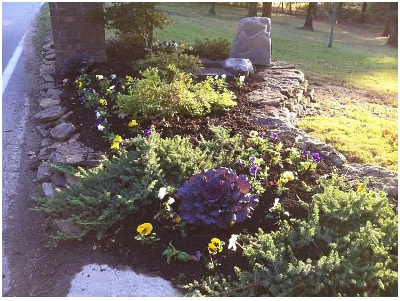 Expert residential landscaping in Jonesboro, AR - Hometown Lawns